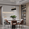 Lampa wisząca metalowa czarno - srebrna Sigma Lighting RIF LUX 1 S 40714